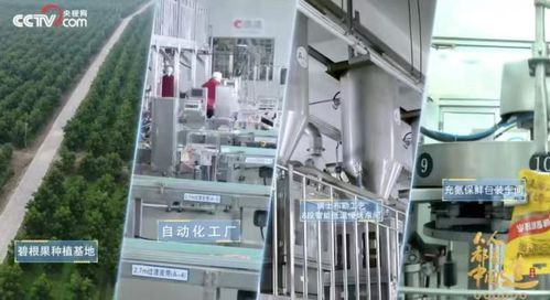 洽洽食品2024年首季業(yè)績亮眼 場景與渠道創(chuàng)新驅(qū)動收入利潤雙增